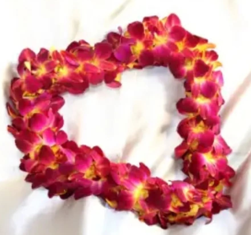 Pink and yellow orchid lei arranged in a heart shape on white fabric