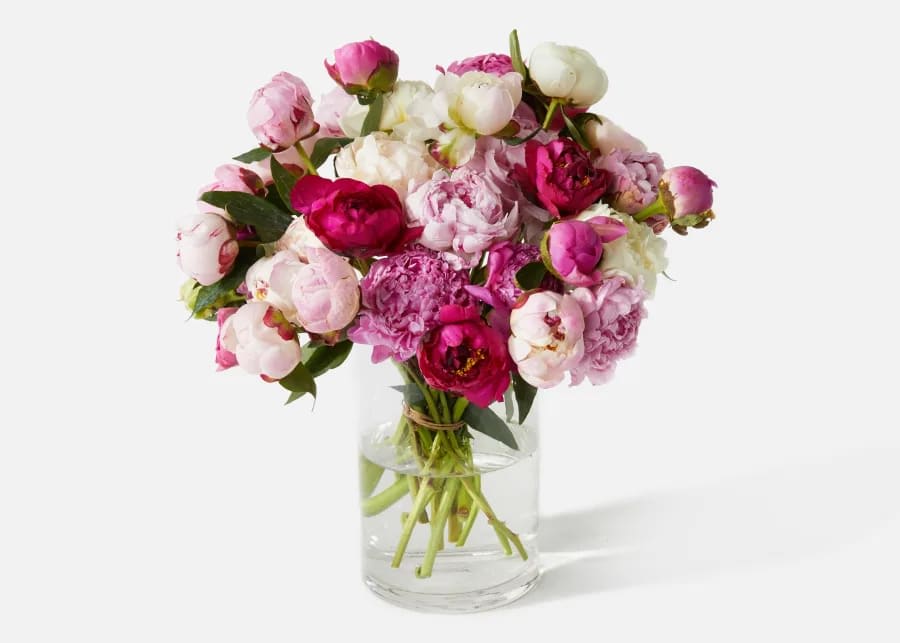 Vase of Peonies (MINIMUM 24 HOUR NOTICE) - Vase of Peonies