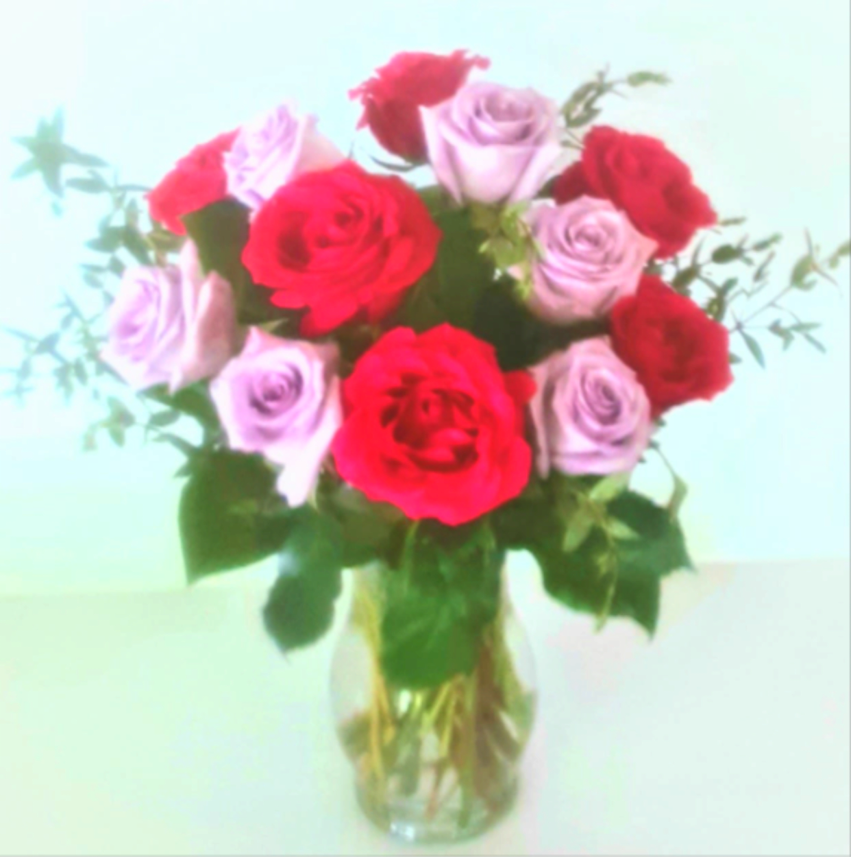 For Your Love  - One dozen medium stem roses in 2 colors (colors may differ) surrounded by sweet dark greenery, perfect to say you care or for Valentines Day or any special occasion.