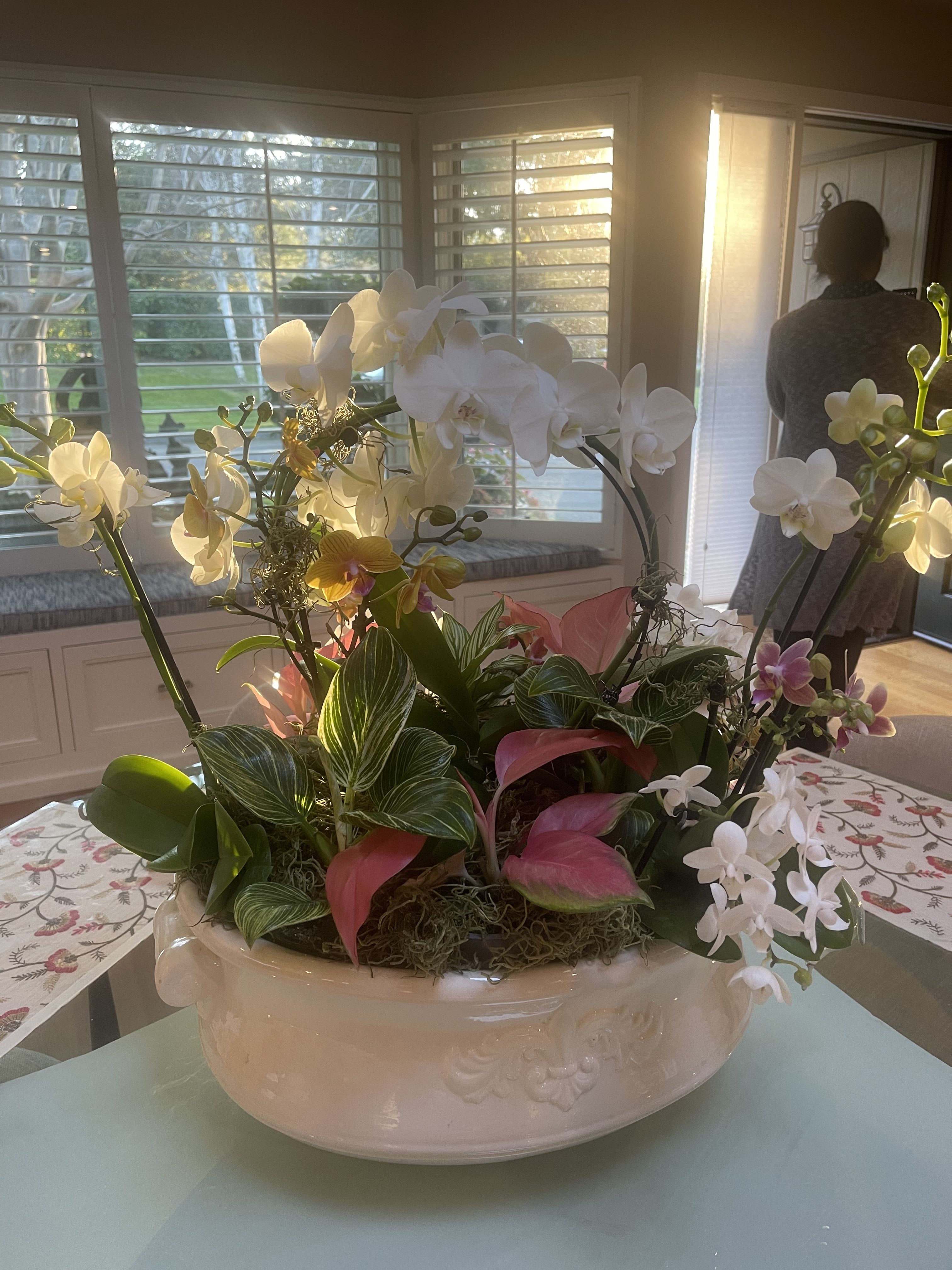 Spring Orchid Planter  - The arrangement features a lush mix of plants and flowers, with white and pale pink orchids arching gracefully upward and outward as the focal point. There are also broad green leaves with light striping, pink anthurium-like blooms, and moss covering the soil, giving it a full, garden-style look. Everything is arranged in a glossy white ceramic bowl with subtle decorative detailing, adding a refined, classic feel.