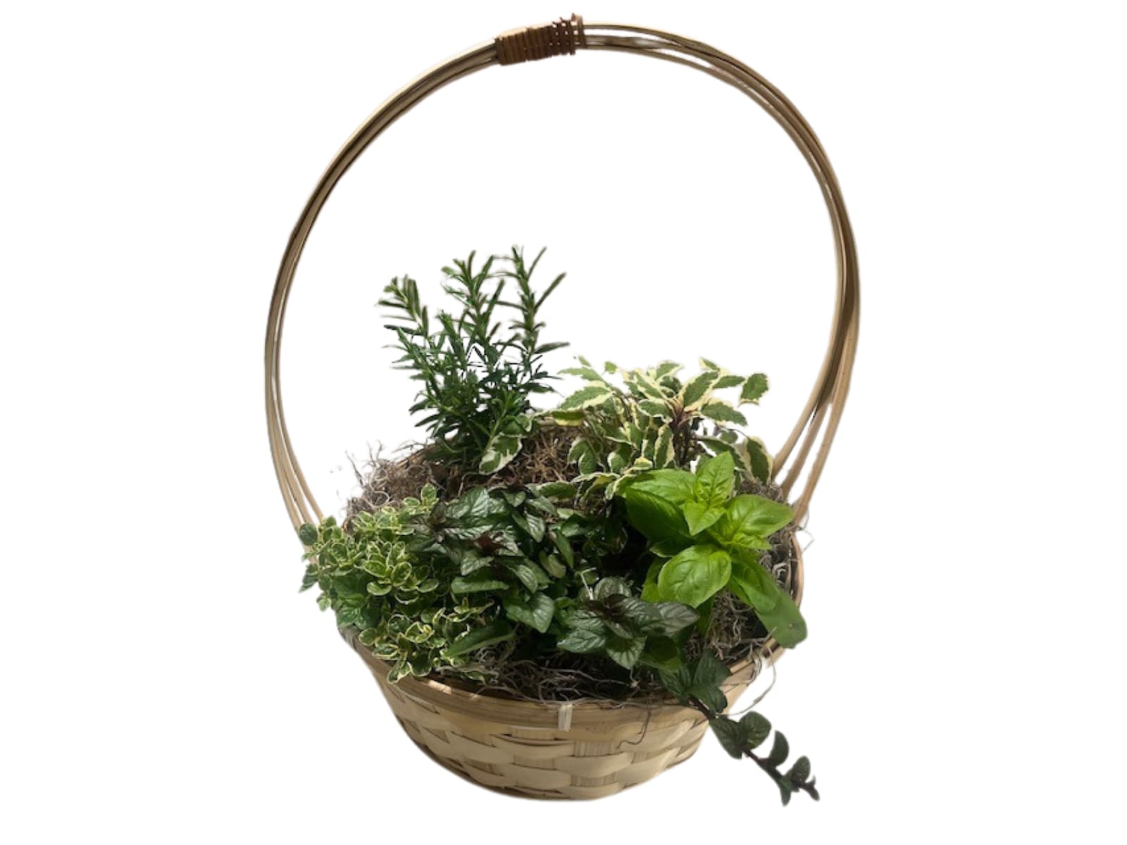 Woven handled basket filled with assorted green plants.