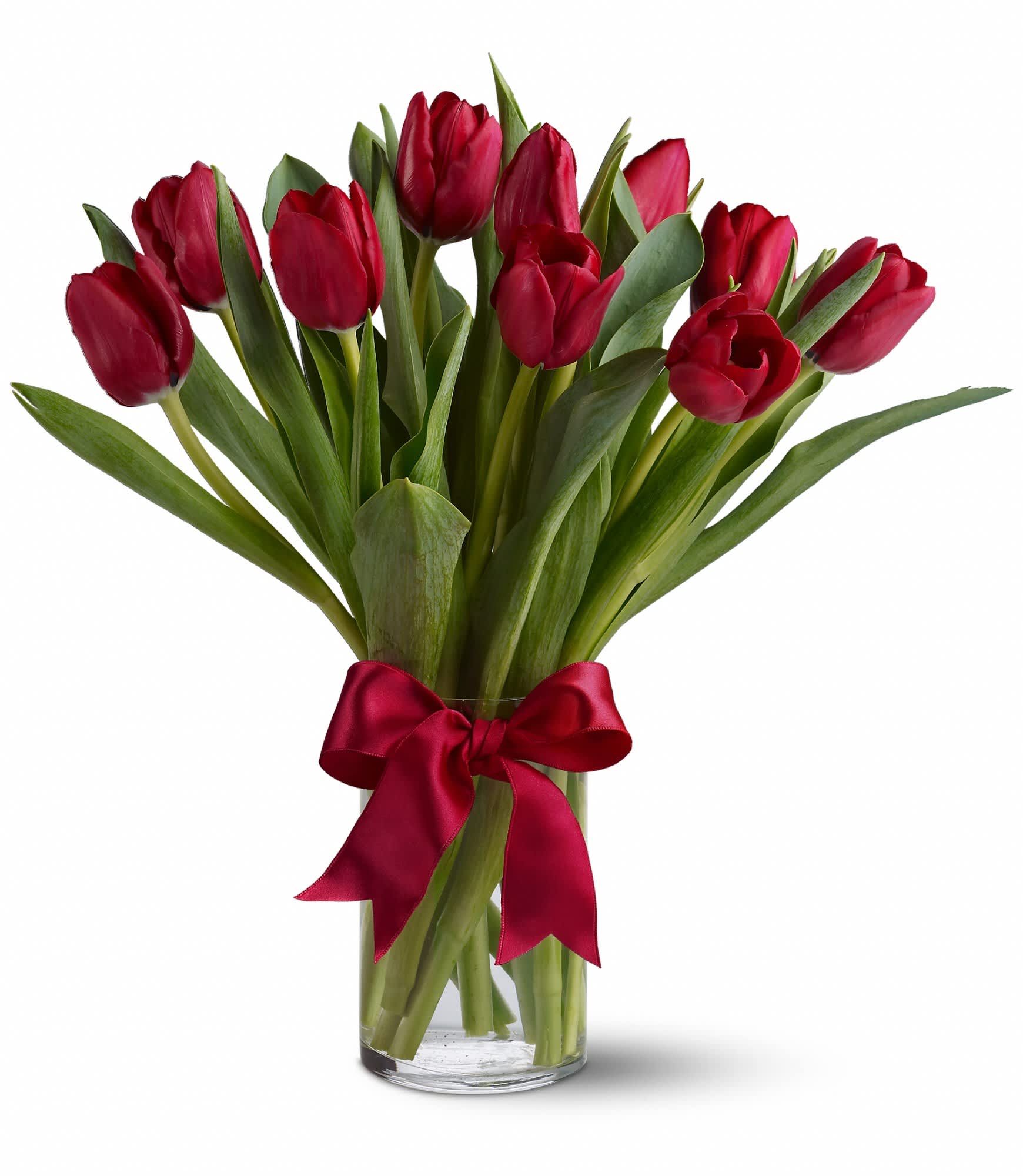 Radiantly Red Tulips - Beautiful and "simply said" red tulips are a hip way to show you care.    Ten romantic red Tulips arranged in a clear glass vase.    Approximately 12" W x 14" H    Orientation: All-Around    As Shown : T11Z104A  Deluxe : T11Z104B  Premium : T11Z104C