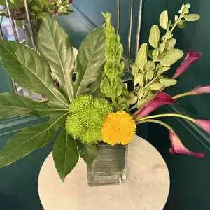 ISLA SUNRISE  - The arrangement is a contemporary piece that emphasizes clean lines and negative space, rather than a dense cluster of blooms. It features a dynamic composition in a clear, square glass vase, which allows the stems to be visible and adds a geometric element. Key components include A large, broad, deeply lobed Fatsia japonica leaf anchors the left side, providing a bold, tropical background and a strong sense of line and form. ○ Magenta calla lilies (Zantedeschia spp.) arch gracefully from the right side, their smooth, trumpet-shaped spathes providing elegant curves and a bold, jewel-toned hue. ○ Green button mums (Chrysanthemum spp.) and a single bright yellow mum provides a contrasting, soft, and textured round form at the base. ● Accents: Upright green spires, likely Veronica or a similar bloom, and light, airy green foliage add vertical interest and lightness towards the top of the arrangement.