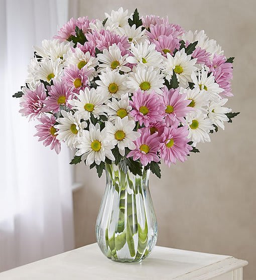 Lovely Daisy Bouquet - Nothing says happiness quite like our cheerful bouquet of daisies. With perky petals of fresh lavender and white, these blooms are just fun to have around. It won’t take more than these daisies to make their day! Bouquet of white and lavender daisies; 