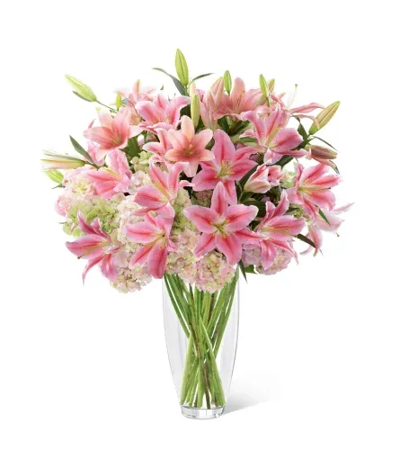 Intrigu  Luxury Bouquet - Capture their attention with blushing beauty and undeniable charm. Exquisite pink Oriental lilies and pink Asiatic lilies stretch their large star-like petals across a bed of blush hydrangea blooms to create an eye-catching bouquet perfectly arranged in a superior clear glass vase, bringing your special recipient a gift of floral finesse they won't soon forget. 