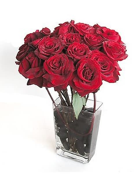Roses &amp; River Stones - Simple and elegant; Red roses in a contemporary clear glass vase topped off with an accent of river stones is the perfect gift for that modern person of today. 