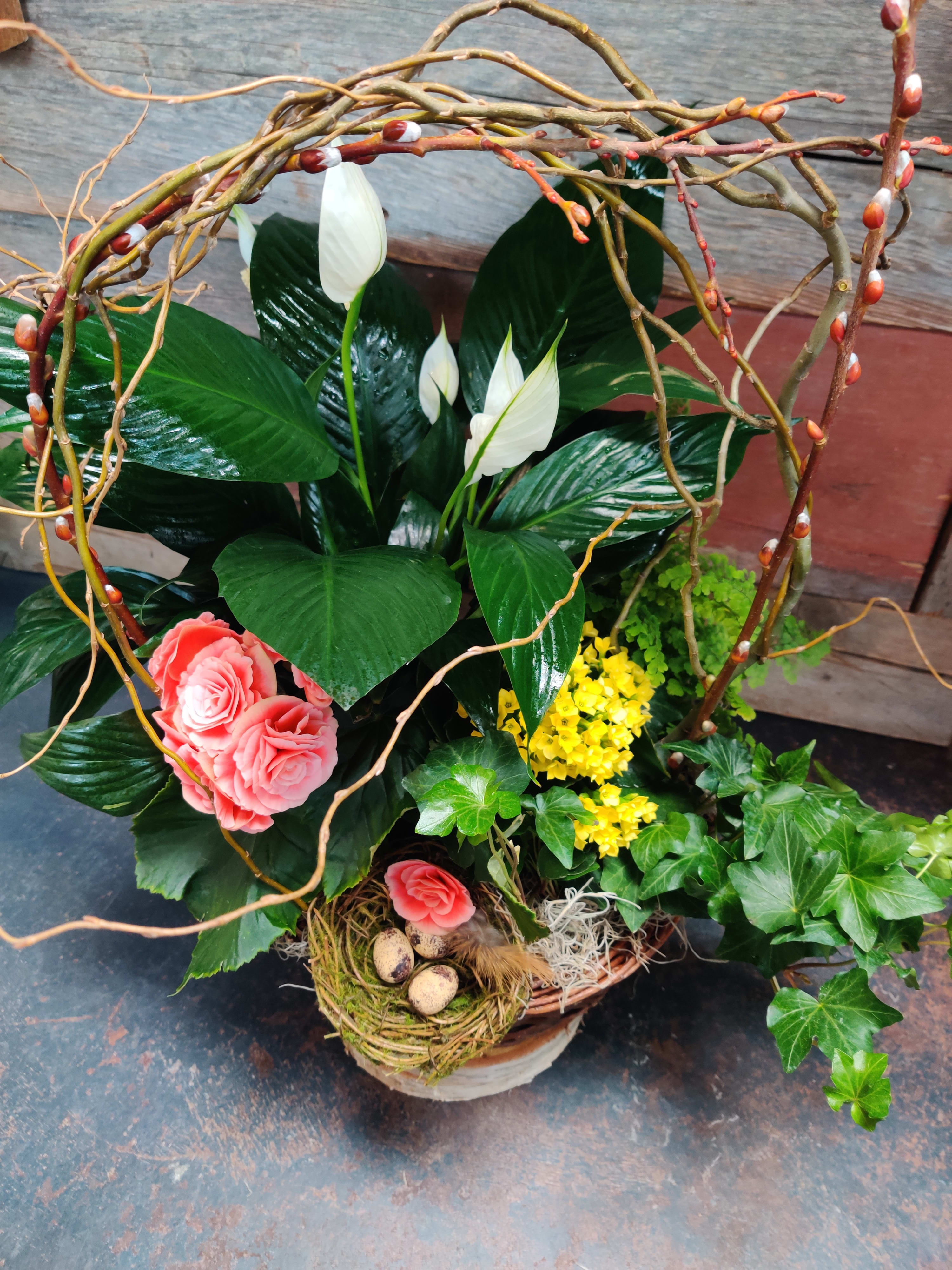 Potted garden with leafy plants, white blooms, and a twig arch over a moss nest with decorative eggs.