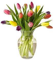 Clear glass vase filled with multicolored tulips including pink, yellow, orange, and purple blooms