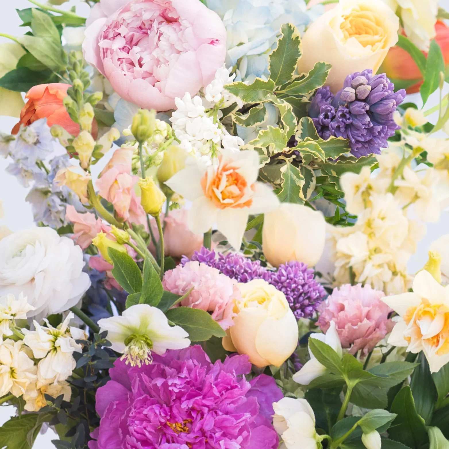 Spring Designer's Choice - Spring Designer’s Choice — Celebrate the beauty of the season with a lush arrangement featuring fresh, premium spring blooms in soft pastels and cheerful hues. Each design is uniquely created using the best flowers available, including peonies, garden roses, ranunculus, tulips, and seasonal accents. A fresh, garden-inspired arrangement perfect for any spring occasion. 