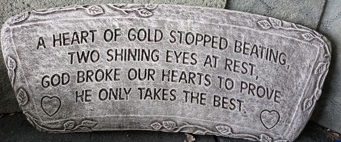Garden Bench “ A heart of gold stopped beating” - A heart of gld stopped beating, two shining eyes at rest.  God broke our hearts to prove he only takes the best.