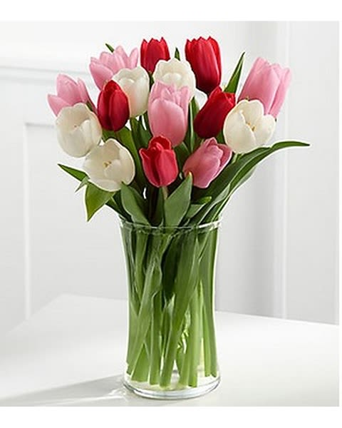 Here In My Heart - The Here in My Heart Tulip Bouquet is a jubilant expression of the romance! Our finest tulips in shades of pink, red and white, creating a dazzling bouquet that showers them with your affection. Presented in a classic clear glass vase, this mixed color tulip bouquet will make an excellent birthday, anniversary, or thinking of you gift. 
