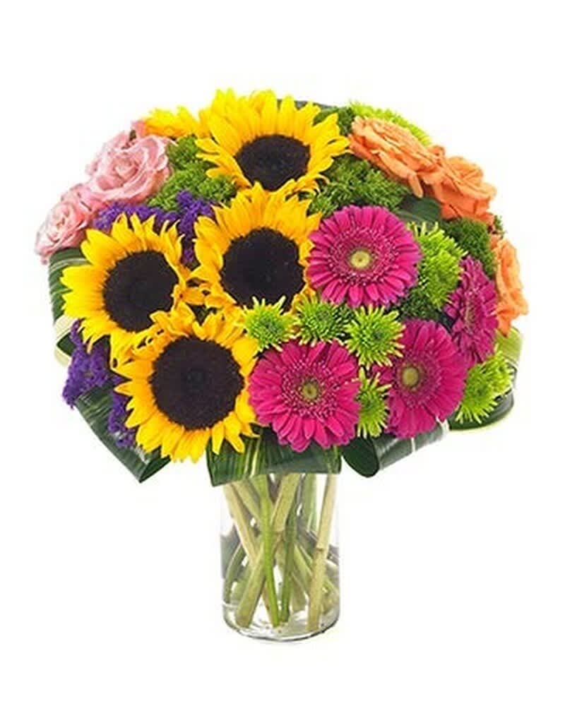 Bright arrangement of sunflowers, pink gerberas, roses, and green mums in a clear glass vase