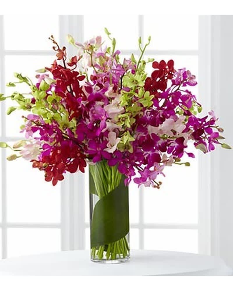 Tall arrangement of pink, purple, and red orchids in a clear glass cylinder vase