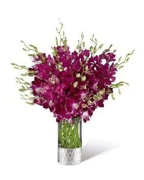 Orchid Bouquet - A sophisticated choice to make the day take on new meaning and offer a fresh approach with it's flair for modern drama, this stunning flower bouquet can only have been created and designed by world famous fashion designer, Vera Wang. Purple Dendrobium Orchids and fuchsia Mokara Orchids are brought together to form an array of textured elegance arranged perfectly within a clear glass cylinder shaped vase with a silver or gold metallic embellishment at the base. An impressive gift to send in honor of Valentine's Day, a birthday, or an anniversary!