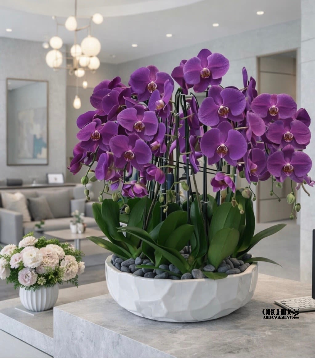 Purple orchids arranged in a white bowl planter with dark stones