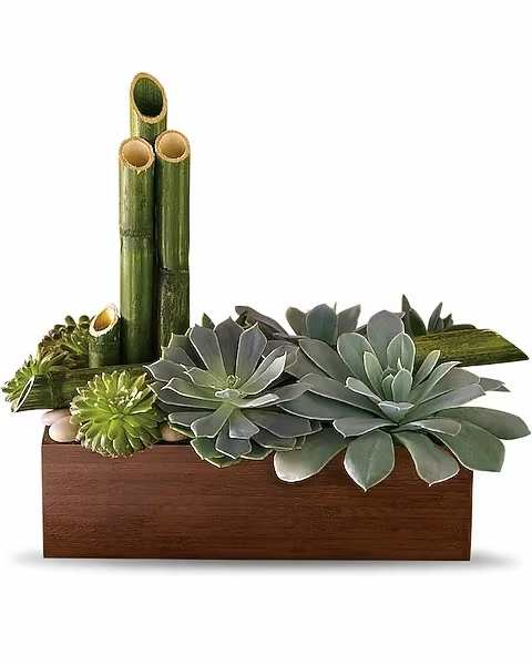 Teleflora's Peaceful Zen Garden - The gift of Zen. Send peace someone's way with this elegant, eye-pleasing arrangement of low-maintenance succulent plants. Presented in a brown bamboo container, the plants are accented with smooth river rocks and natural river canes of bamboo.