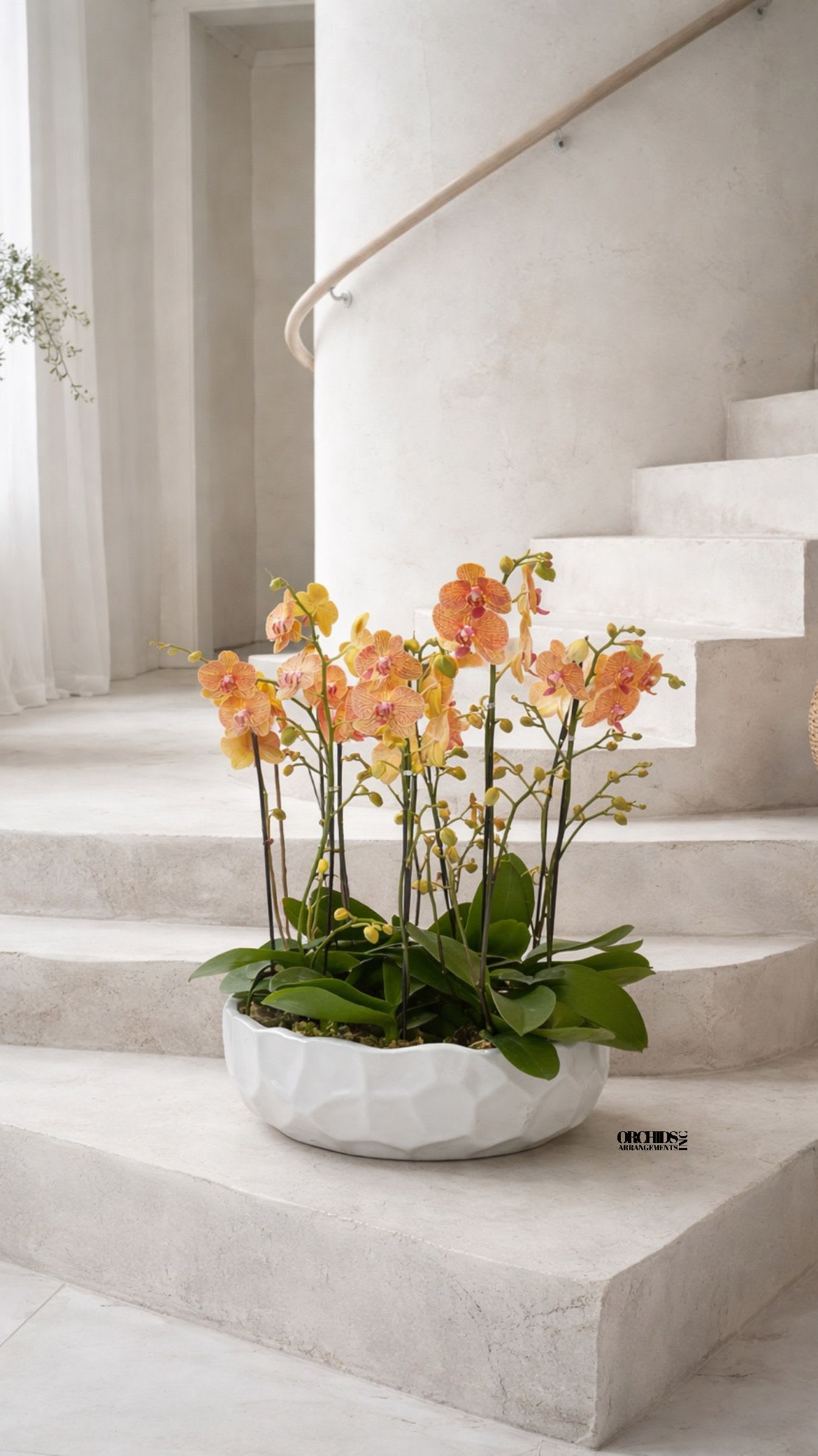 Peach Phalaenopsis Orchids – Elegant Maison Design - This elegant Twelve Peach Phalaenopsis Cascade orchid arrangement creates a striking vertical presence, making it ideal for grand interiors and modern living spaces with a vase 19.5" D X 5" T.