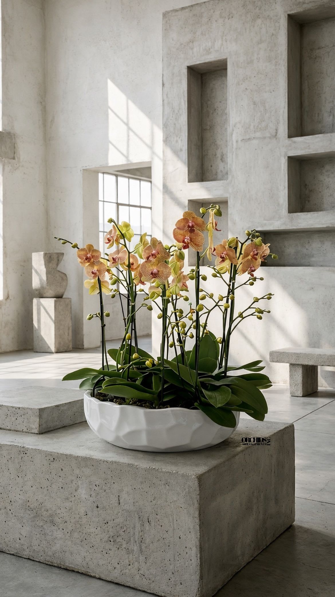 Low white bowl of peach and yellow orchids in a modern concrete interior.
