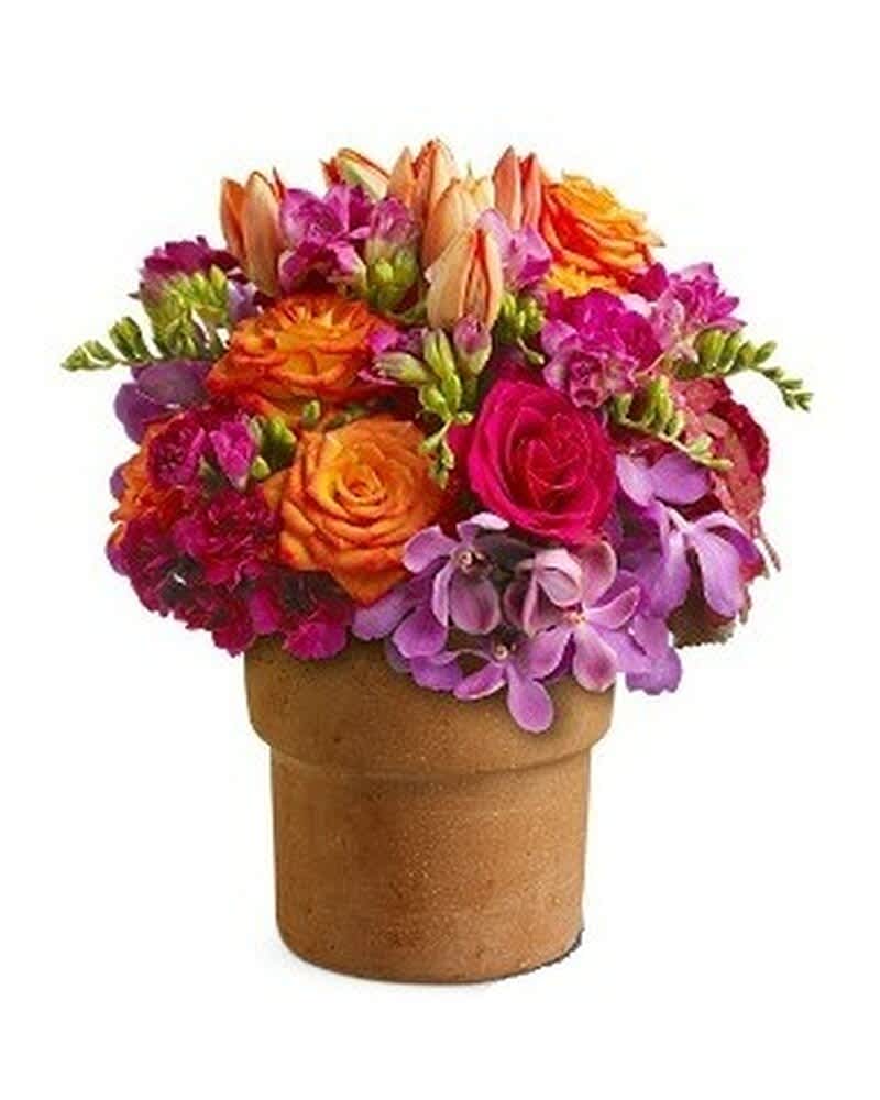 Bright compact arrangement of orange and pink roses, tulips, and purple orchids in a clay pot