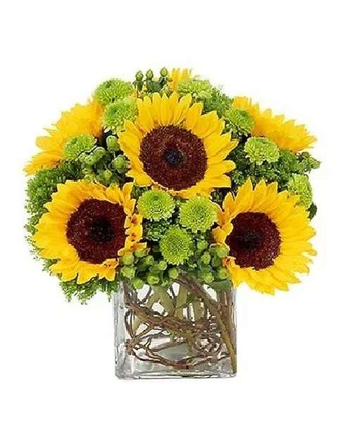 Sunflower Gift - Oh, what a happy day it will be for whoever is lucky enough to have this vase full of joyful and jubilant blossoms delivered to them. Perfect for Happy Birthday or Happy Any Day, this pretty arrangement is sure to inspire smiles!  