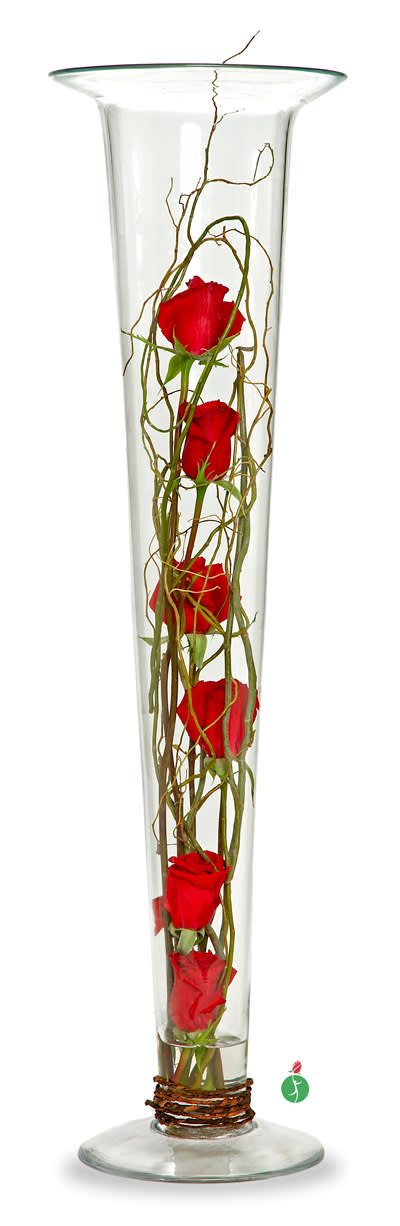 Roses in Glass - For a modern interpretation of a fresh rose arrangement, consider this sophisticated display of six red roses, symmetrically arranged with vines in a tall glass cylinder vase. It’s a unique and eye-catching display that’s sure to capture everyone’s attention.