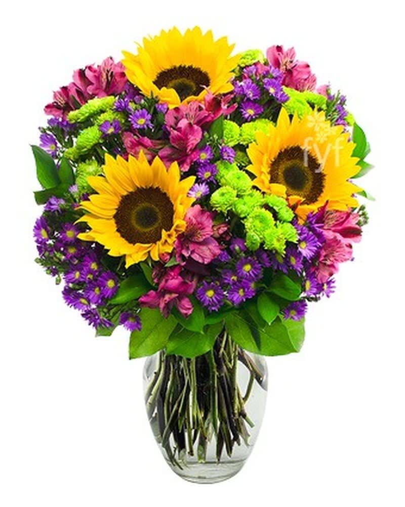 Bright bouquet of sunflowers, purple asters, pink alstroemeria and green mums in a clear glass vase
