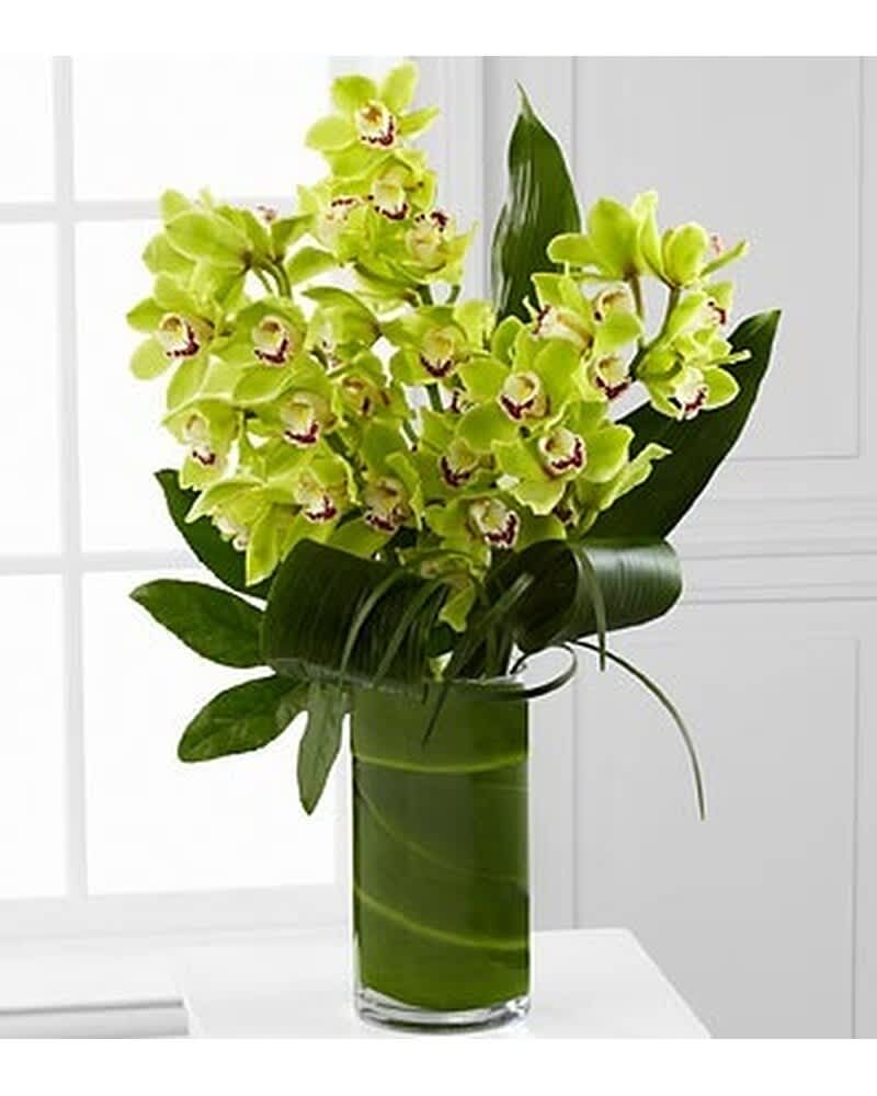 Tall arrangement of green cymbidium orchids with large tropical leaves in a clear glass cylinder vase