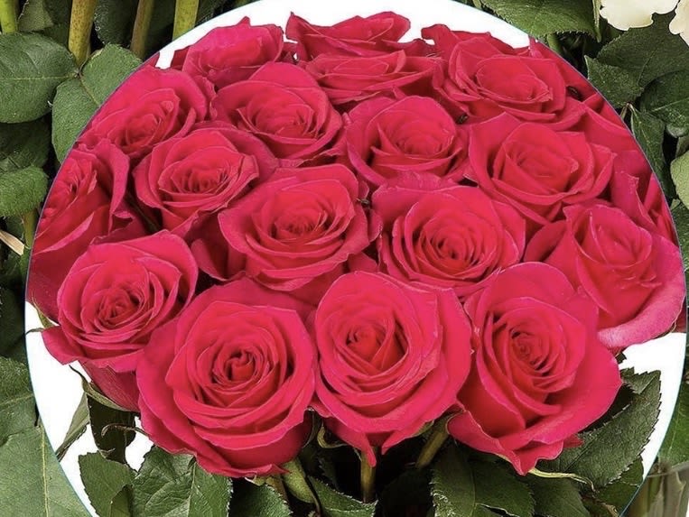 EVERGREEN LUNA  - Evergreen luna- she is made of 12-15 red roses tightly packed in a round box with branded ribbon.