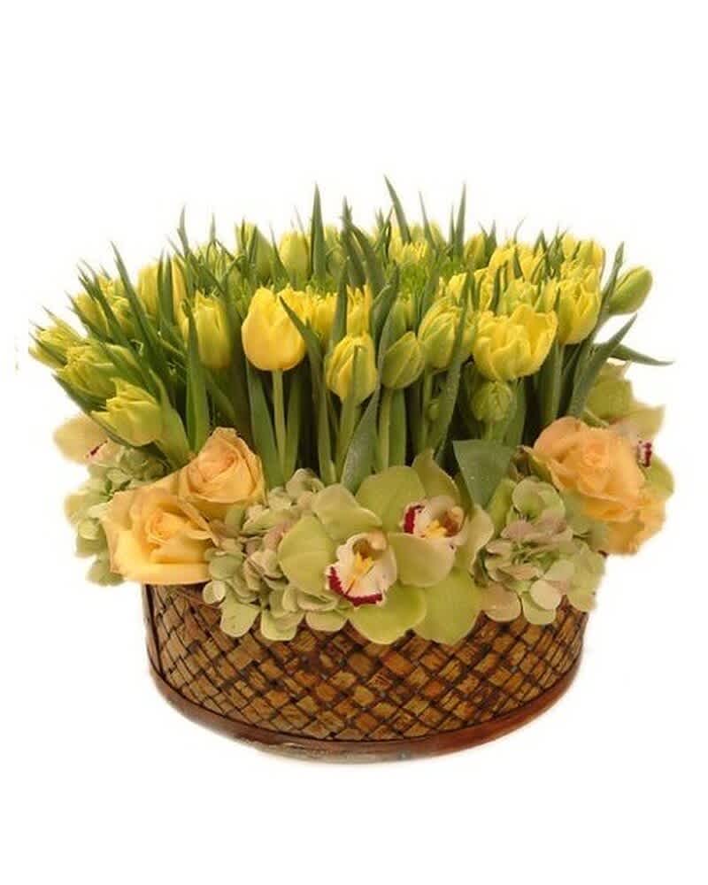 Low basket arrangement of yellow tulips, pale roses, hydrangeas, and green orchids