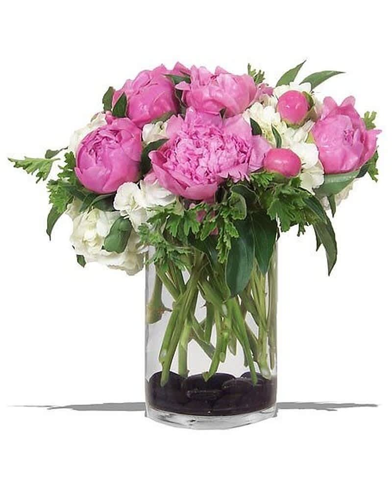 Pink peonies and white hydrangeas in a clear glass cylinder vase with dark stones at the base