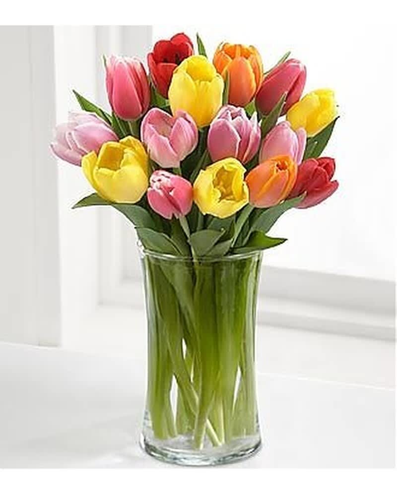 Mixed-color tulip bouquet arranged in a clear glass vase on a white surface.