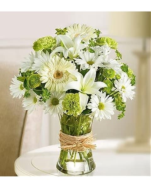 Serene Green - The freshest carnations, Gerbera daisies, Asiatic lilies, daisy poms, button poms and more, all in gorgeous shades of green and white and arranged by our designers. Comes in a clear glass gathering vase accented with raffia.  
