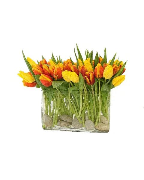 Tulip Couture - 30-35 Dutch Tulips in a clear glass vase. Brown river rocks line the bottom of the vase. Color choices are endless. 