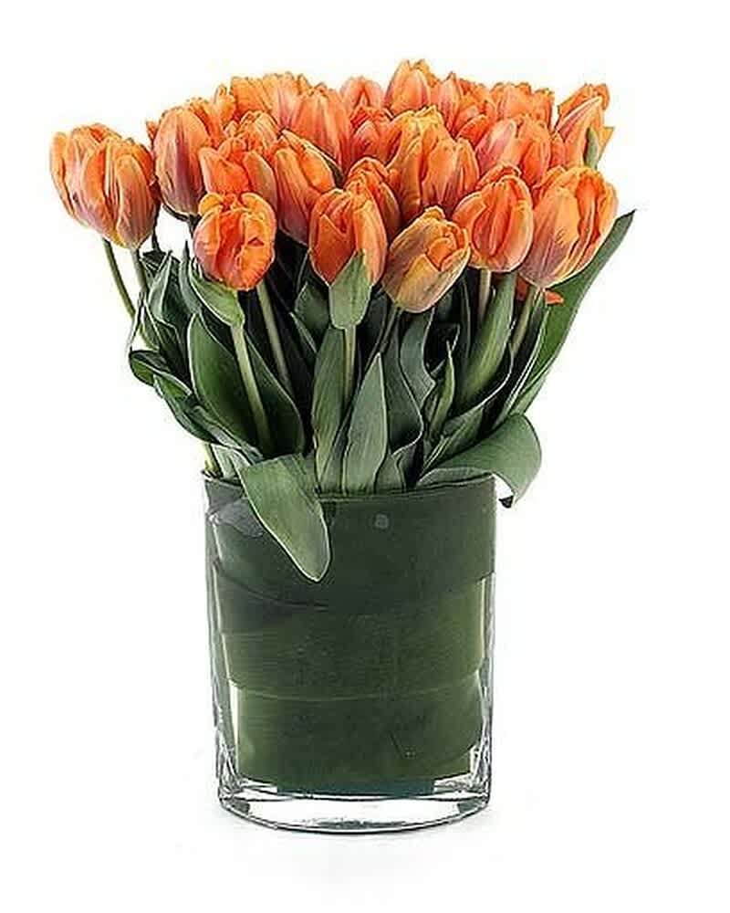 Cluster of orange tulips arranged in a clear glass cylinder vase wrapped with green leaves