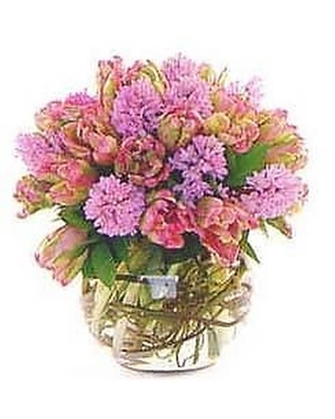 Hyacinth &amp; Tulip Fun - Fragrant hyacinth and holland tulips arranged in a bubble bowl with curly willow decor. 
