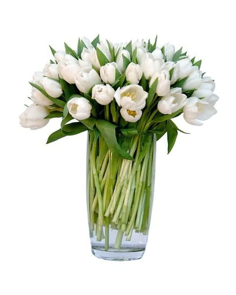 Tall clear vase filled with many white tulips arranged in a dense, rounded display