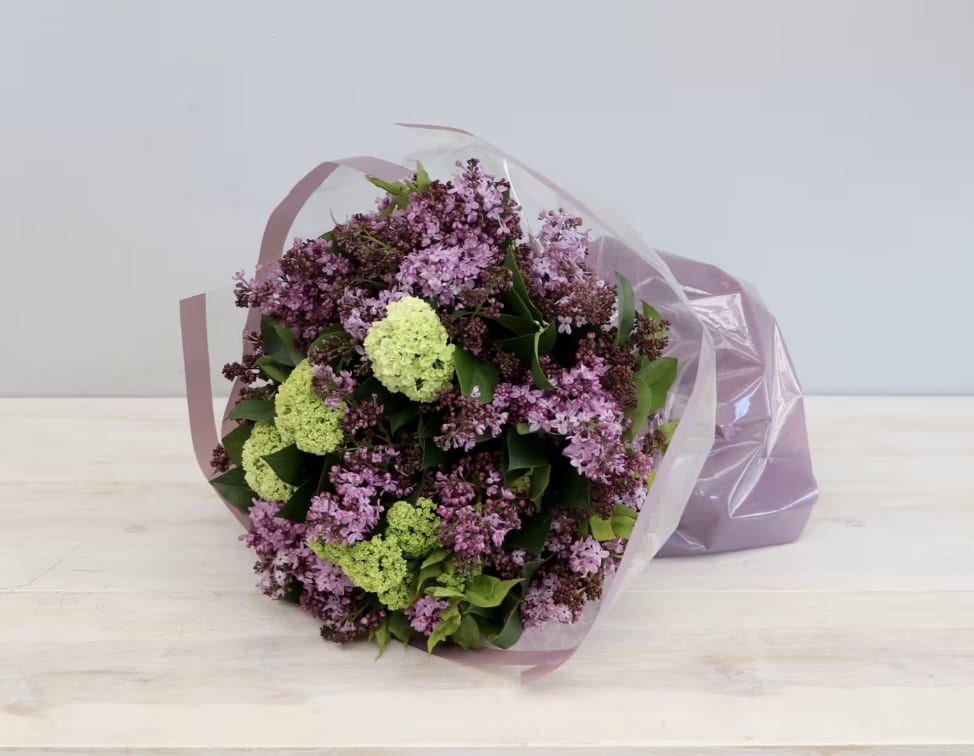 Classic Lilac Bouquet - Weho  - Bouquet of our purple lilacs paired with seasonal greens. This is in the standard size. Deluxe is 50% more and double the size and quantity for premium. Lilacs will only be available for a short time. Make sure to get yours before the short season is over.