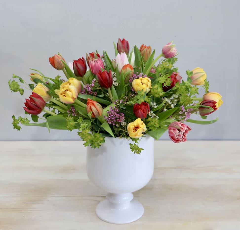 Dancing Tulips - Weho  - This chic arrangement features mixed color tulips in a white vase, paired with seasonal greenery. The photo shown is in the standard size, don't forget to upgrade for more blooms!