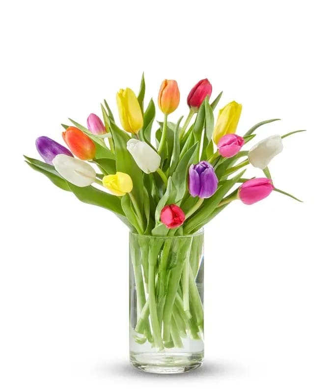 Mix color tulips - Mix color tulip bouquet