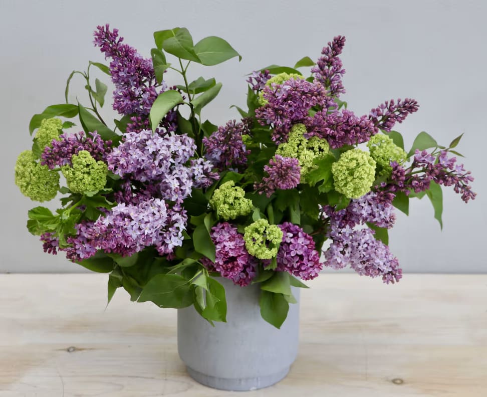 Lilac Dreams - WeHo  - It's officially lilac season! This arrangement showcases fragrant and lush lilacs, perfect for any occasion or gift. Don't forget to upgrade for more blooms.