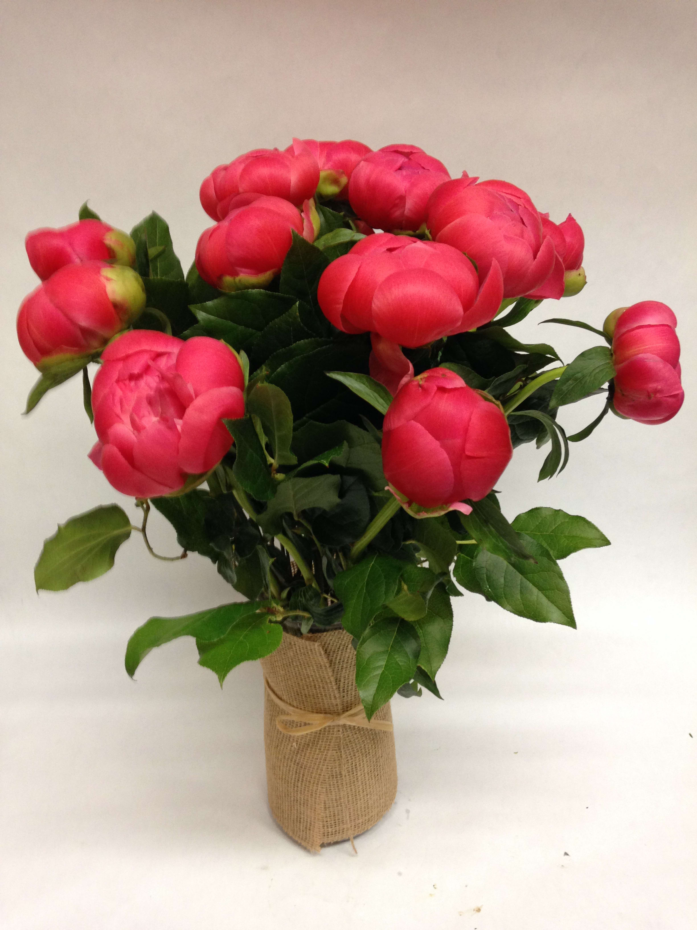 Pink peony arrangement in a glass vase wrapped with burlap and twine