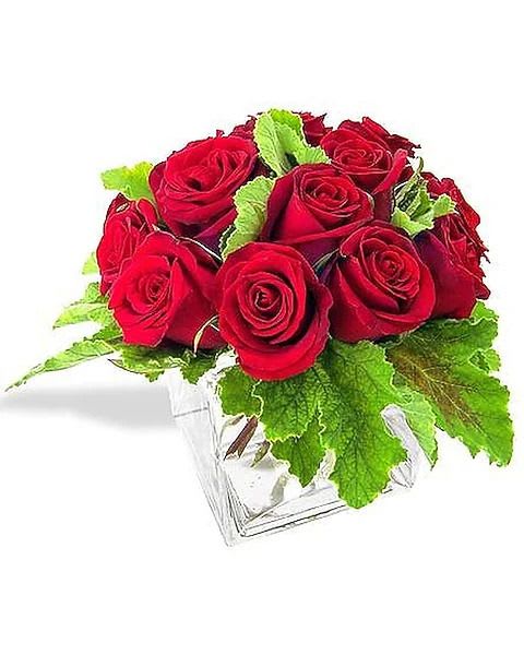 Red Rose Cube - Red Rose Cube 