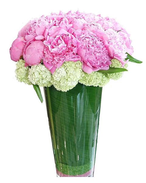 Beautiful Blend - Beautiful all on their own, peonies and hydrangea are two of our most popular flowers. Combining them both in this simple yet stunning arrangement creates a beautiful blend that's certain to impress. Pink peonies surrounded by hydrangea designed in a tall glass vase lined with tropical leaves . March through May A minimum of 6 days is required before the delivery date of this item 
