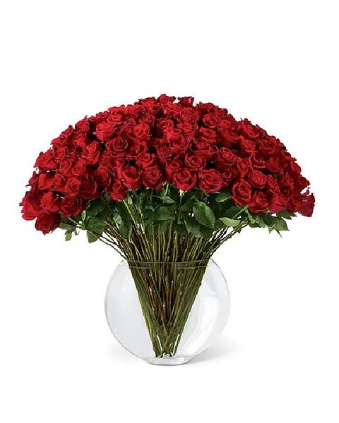 Breathless Luxury - They leave you breathless with every kiss. Sweep them off their feet with 100 stems of our 24-inch premium long-stemmed red roses. Each stem flaunts the beauty of their beautiful swirling petals, gorgeously situated in a sophisticated clear glass 13-inch pillow vase, to astound and amaze your special someone with the bounty of their timeless elegance. Substitution of vase may be required due to availability. 