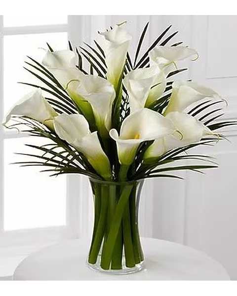 Endless Elegance Callas - This bouquet is an extraordinary display of these exquisite white blooms. Gorgeous and bright, our finest full-sized white calla lilies capture the essence of beauty and sophistication accented by lush palm leaves seated in a sleek clear glass vase to create a wonderful gesture fitting for any occasion. A minimum of 6 days is required before the delivery date for this item 