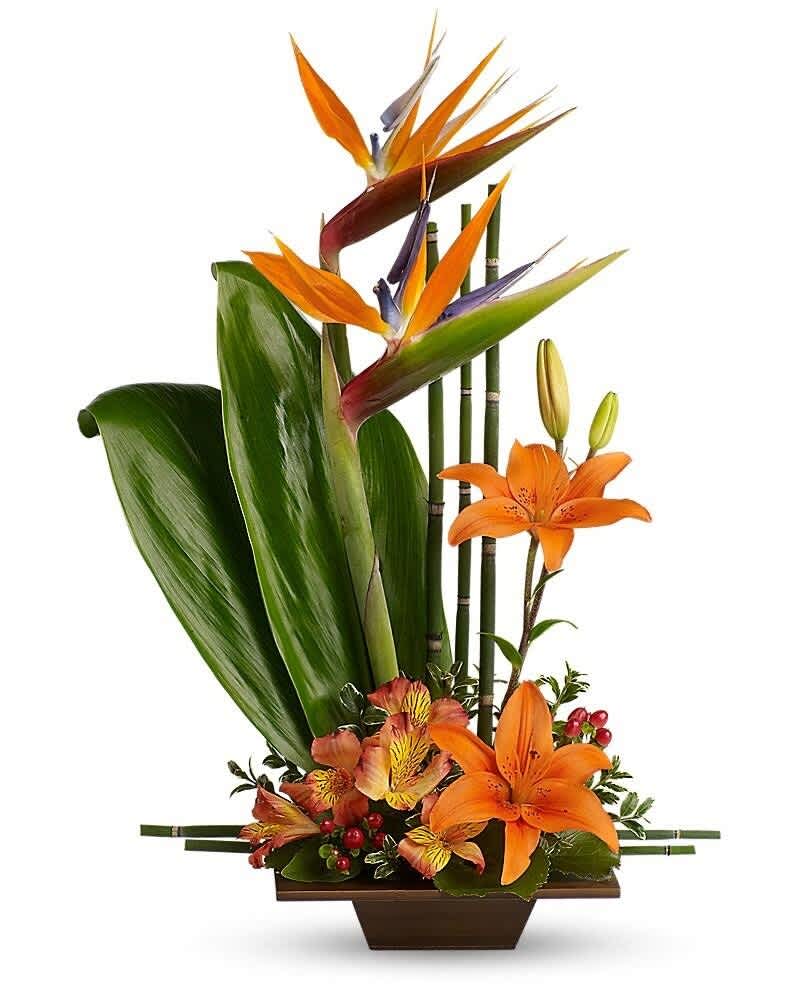 Modern tropical arrangement with birds of paradise, orange lilies, bamboo stalks, and broad green leaves in a low container