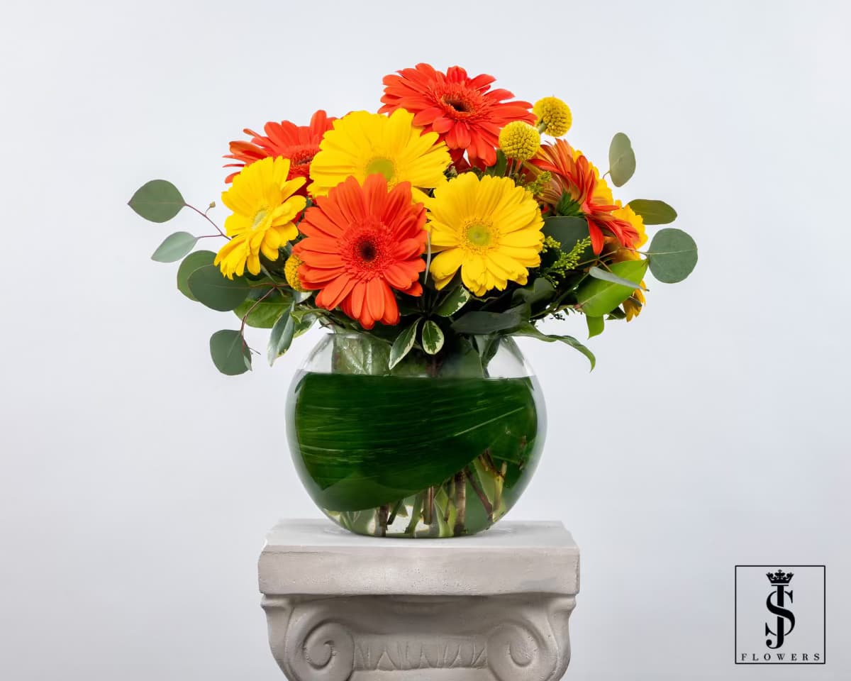 Sunset Bliss  - Brighten your space with this stunning spring arrangement, featuring radiant orange and yellow Gerbera daisies, playful golden Craspedia, and fresh eucalyptus for a touch of elegance. Designed in a sleek glass vase wrapped with a lush tropical leaf, this bouquet bursts with warmth and happiness—just like the season itself. Perfect for celebrations, gifts, or simply bringing a little sunshine indoors! ??