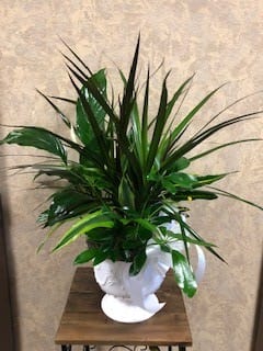 Mix Plants with Spathiphyllum Peace Lily - Type of Plant: Mix Green Plants with Spathiphyllum Availability: All year round Photo shown: Regular Substitute Available: Yes