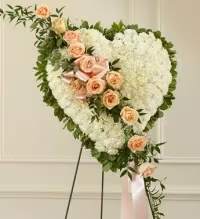 Peach Rose Remembrance Heart - A beautiful solid heart-shaped tribute designed to express love and remembrance. This elegant arrangement features a base of white cushion mums or white carnations (depending on availability), creating a soft and peaceful display. A delicate break of peach roses adds a warm and graceful accent, symbolizing appreciation and cherished memories.  Accented with fresh greenery, this heartfelt design offers a meaningful and touching way to honor a loved one and celebrate a life remembered with love.