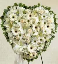 Pure Devotion Standing Heart - A beautiful solid white standing heart spray designed to symbolize love, peace, and remembrance. This elegant tribute features white gerbera daisies, white cushion mums, white carnations, white daisies, and white lilies, thoughtfully arranged to create a full and graceful heart shape.  Accented with fresh greenery and finished with a white ribbon bow, this heartfelt arrangement offers a meaningful and comforting expression of sympathy, honoring a cherished life with purity and enduring love